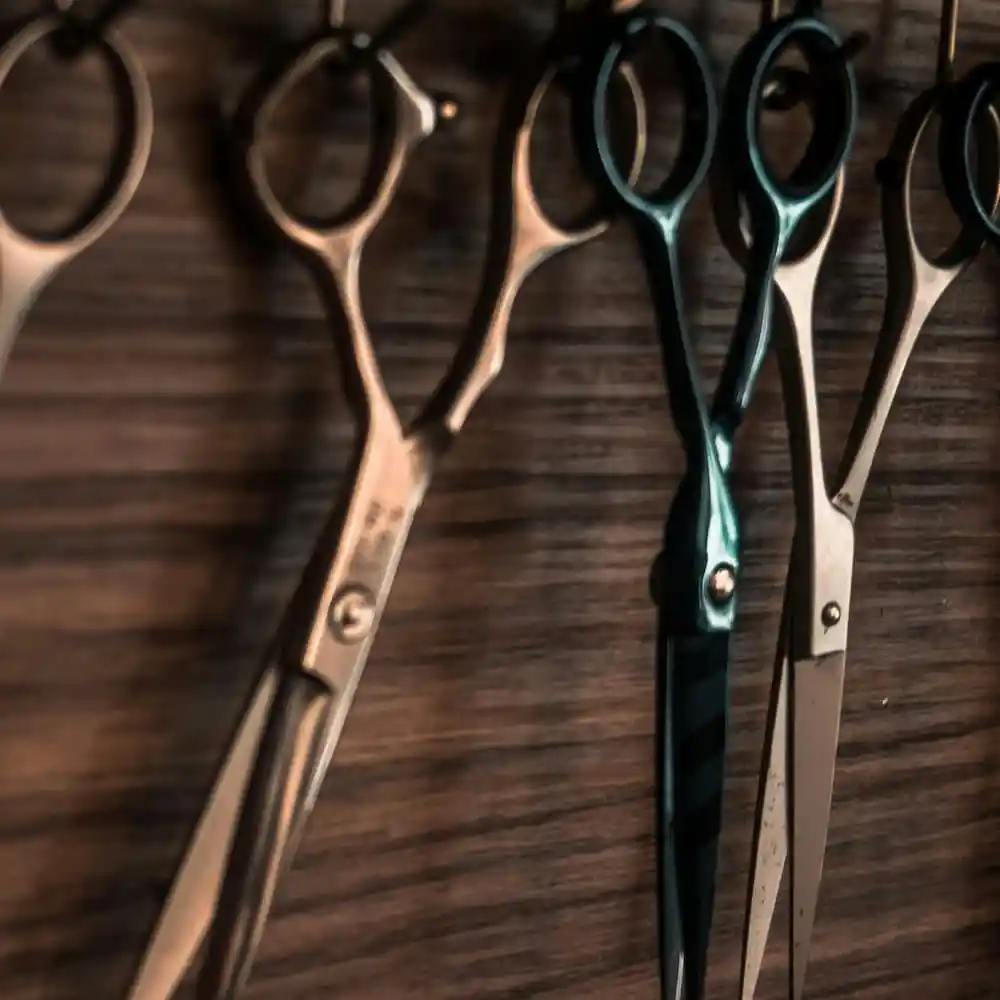 Hairdresser at Salon 22